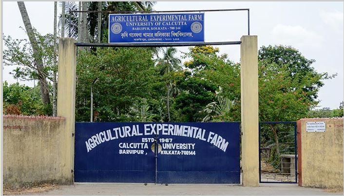 Calcutta University (University of Calcutta) - academic