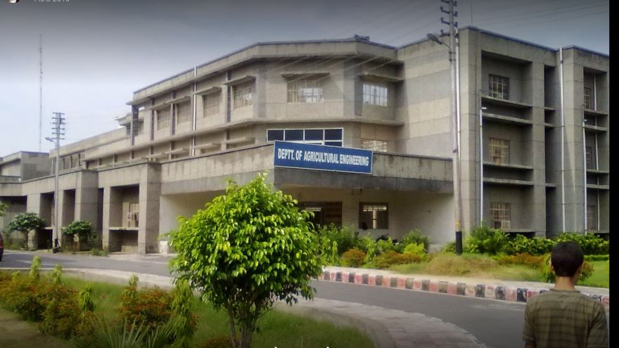 CCSU Meerut University - academic