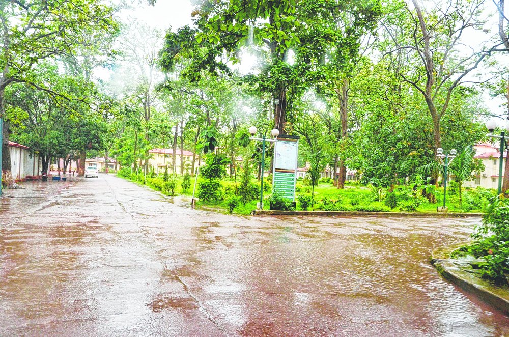 Central University of Jharkhand - others