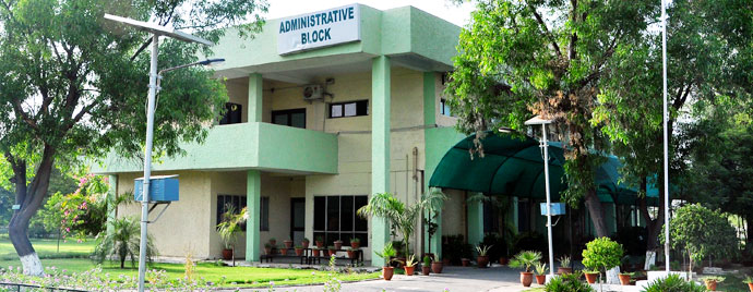 Central University of Punjab - others