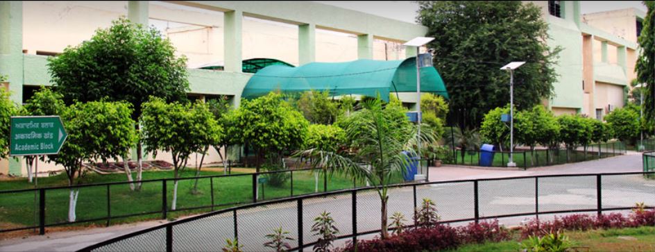 Central University of Punjab - academic