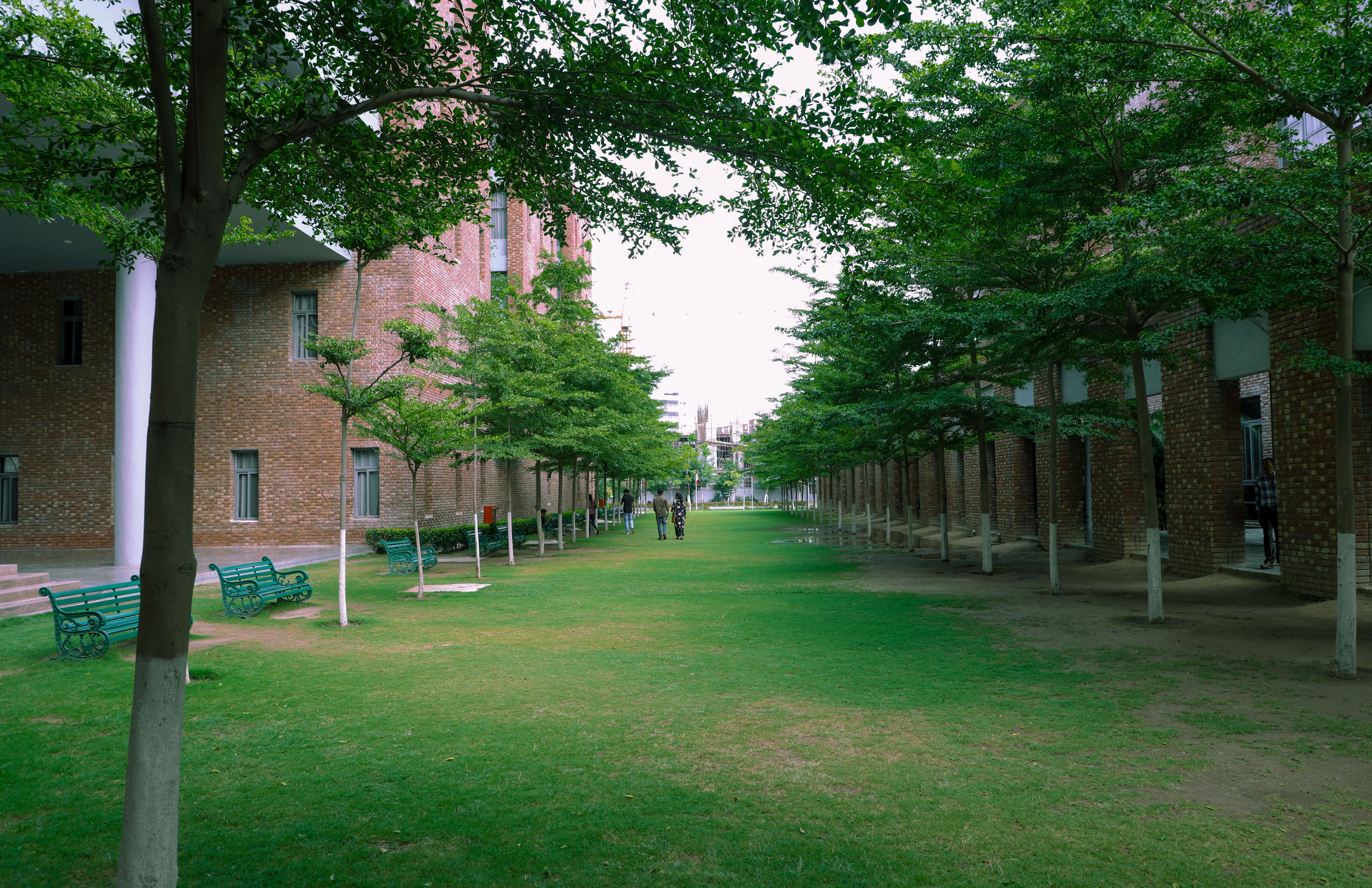 Chandigarh University (CU) - campus