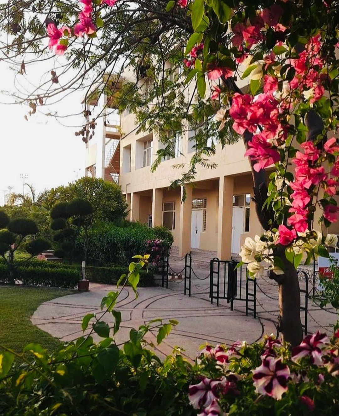 Chitkara University - campus