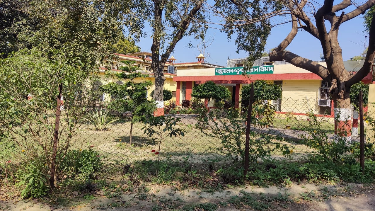 CSAUK - library