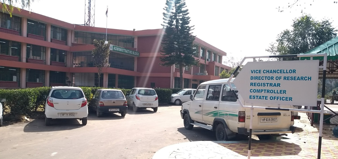 YSP - campus