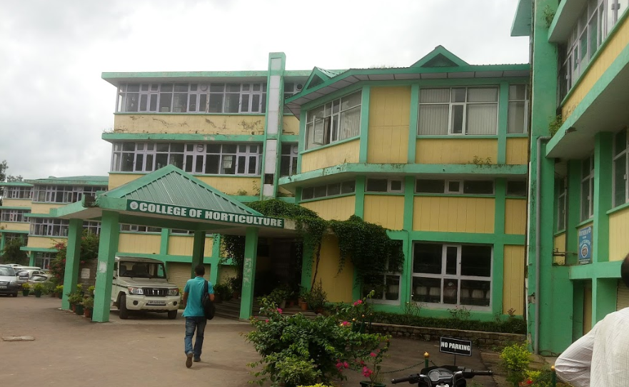 YSP - campus