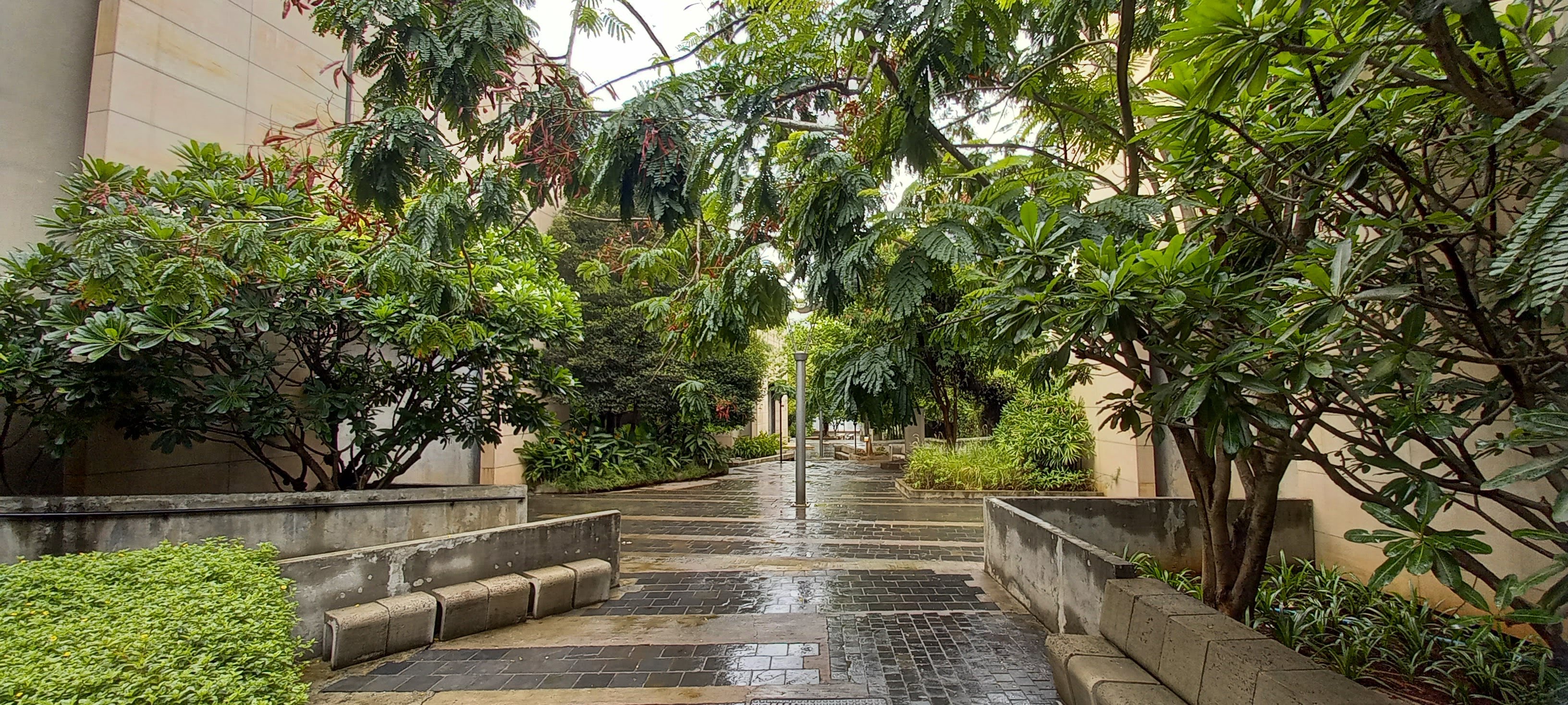 FLAME University - campus