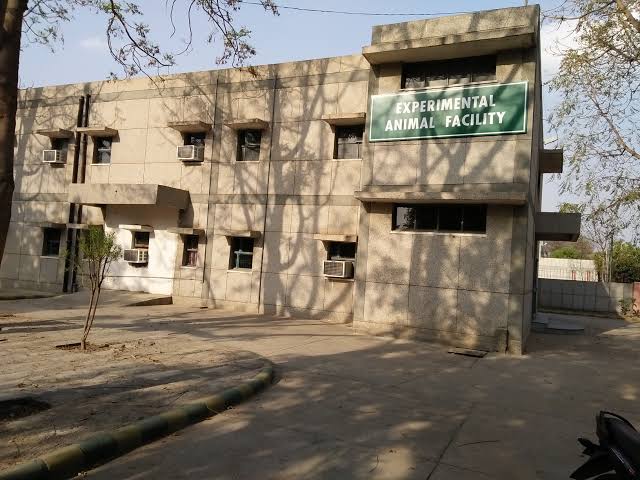 GJUST - campus