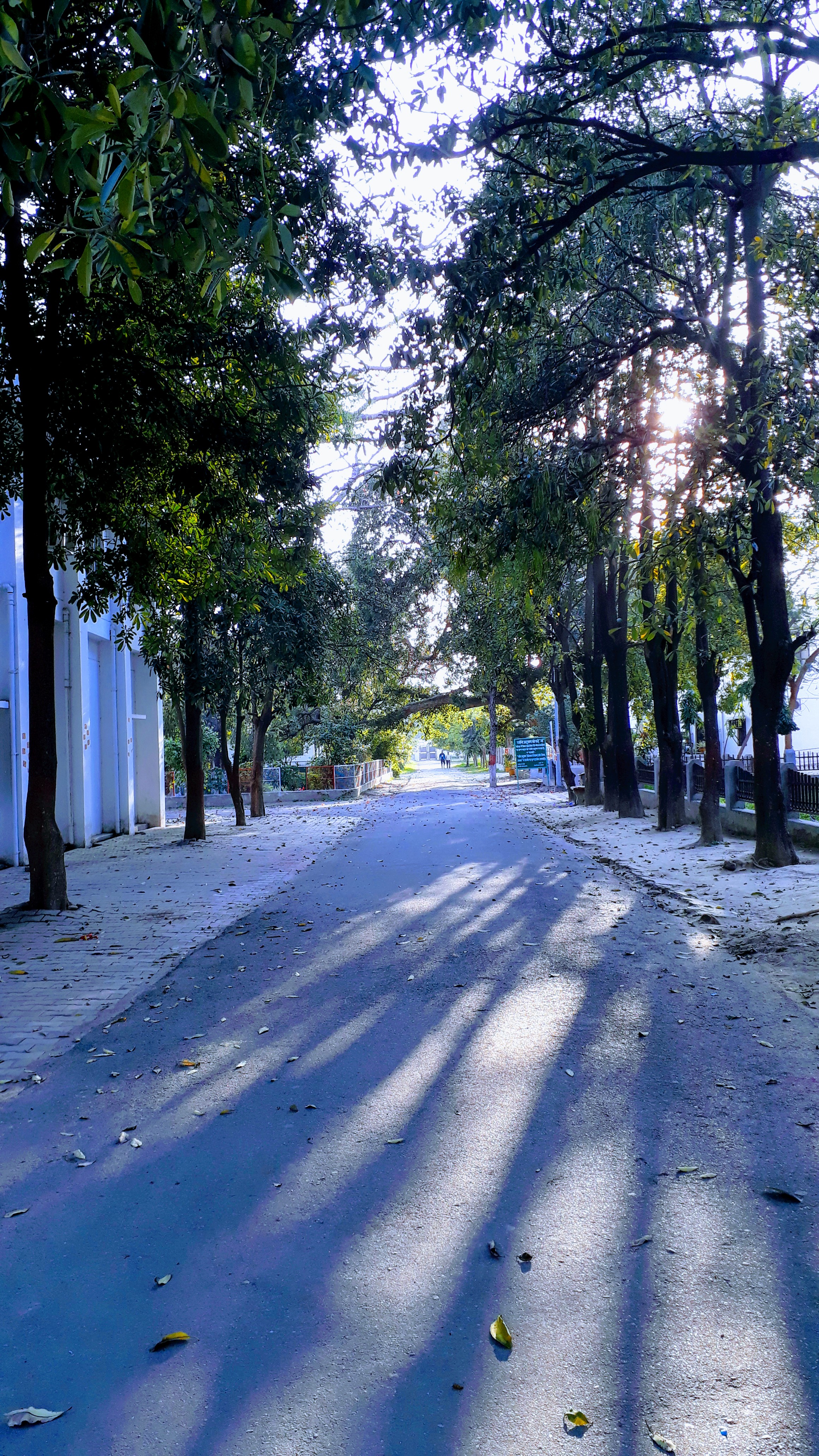GKV - Gurukula Kangri Vishwavidyalaya - campus