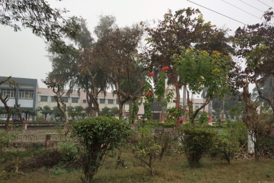 Pantnagar University (GBPUAT) - others