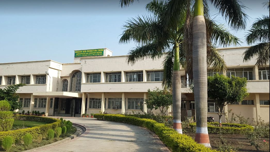 Pantnagar University (GBPUAT) - campus