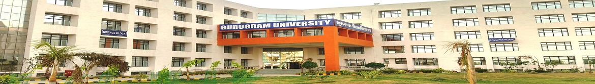Gurugram University - others