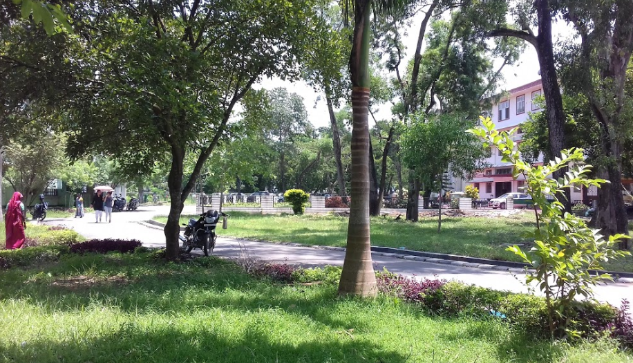 Gauhati University - campus