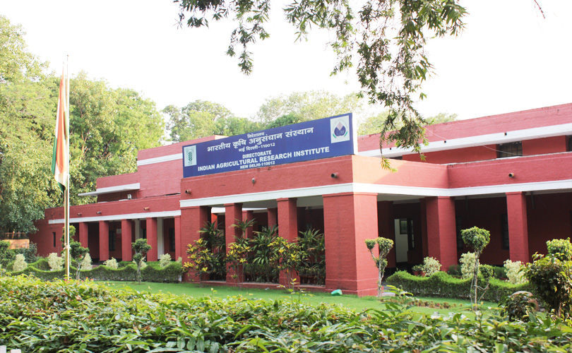 Indian Agricultural Research Institute - IARI - campus