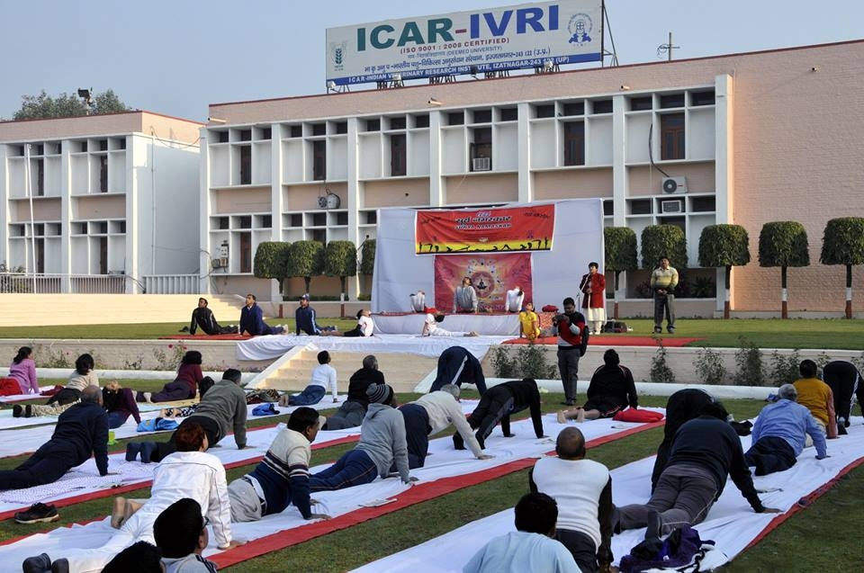 IVRI - Indian Veterinary Research Institute - others