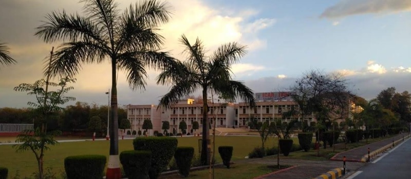 IVRI - Indian Veterinary Research Institute - campus