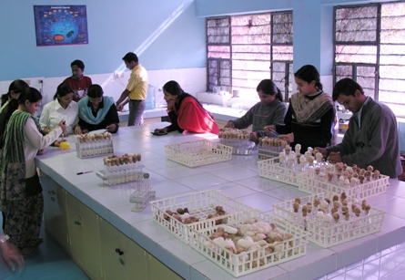 Jai Narain Vyas University - labs