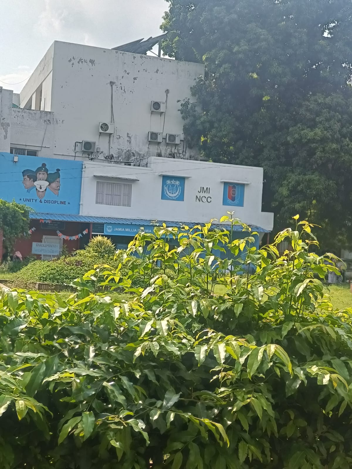 Jamia Millia Islamia (JMI) - others