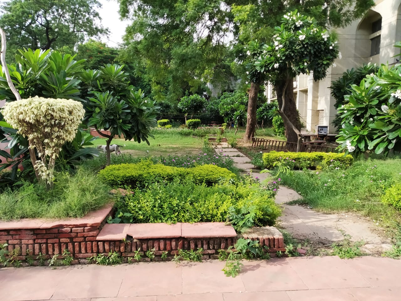 Jamia Millia Islamia (JMI) - others