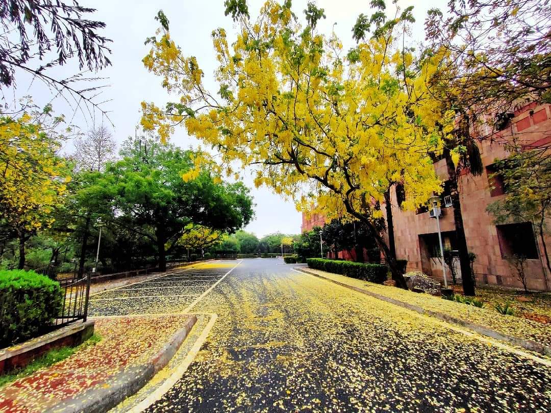 JNU - campus