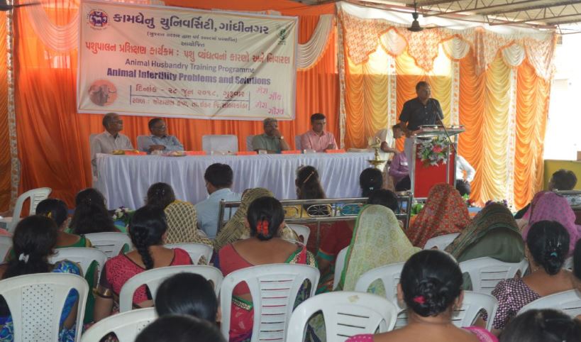 Kamdhenu University - others