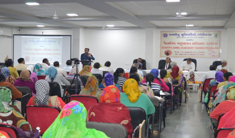 Kamdhenu University - others