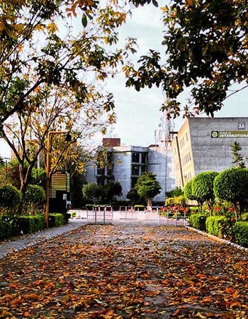 Lovely Professional University Jalandhar - campus