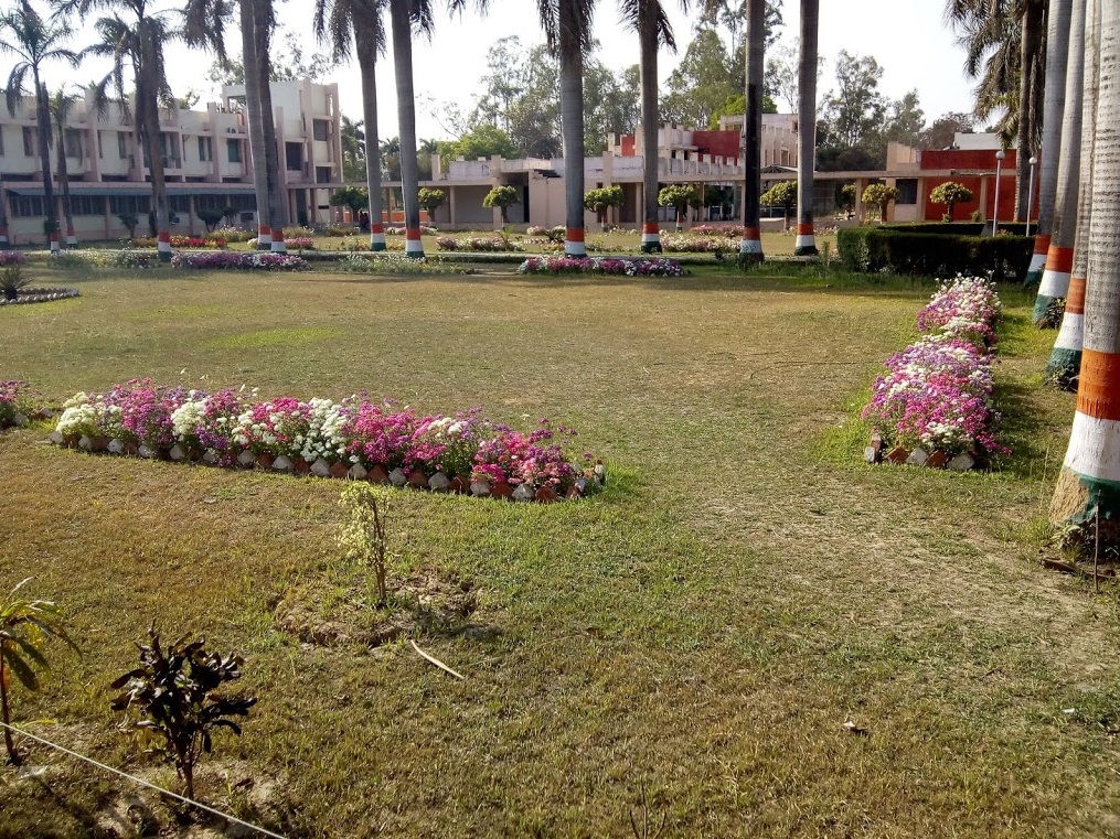 MMMUT - campus