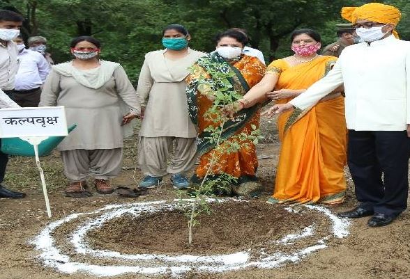 Maharana Pratap University of Agriculture and Technology, Udaipur - others
