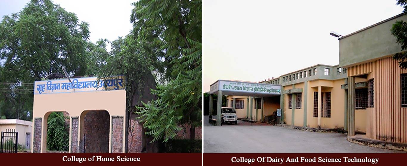 Maharana Pratap University of Agriculture and Technology, Udaipur - campus