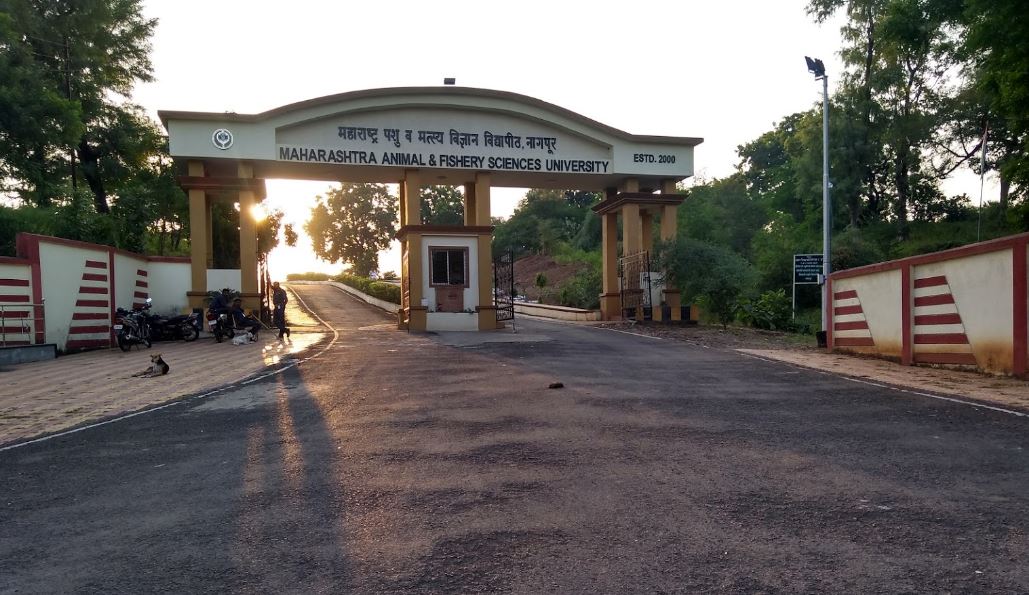Maharashtra Animal and Fishery Sciences University - entrance