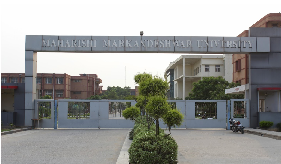 Maharishi Markandeshwar University - entrance