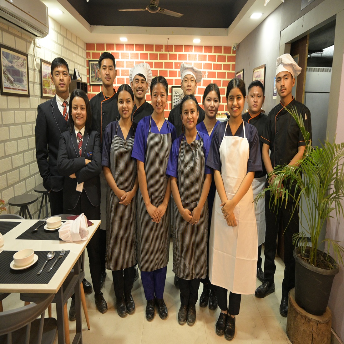 Medhavi Skills University - others