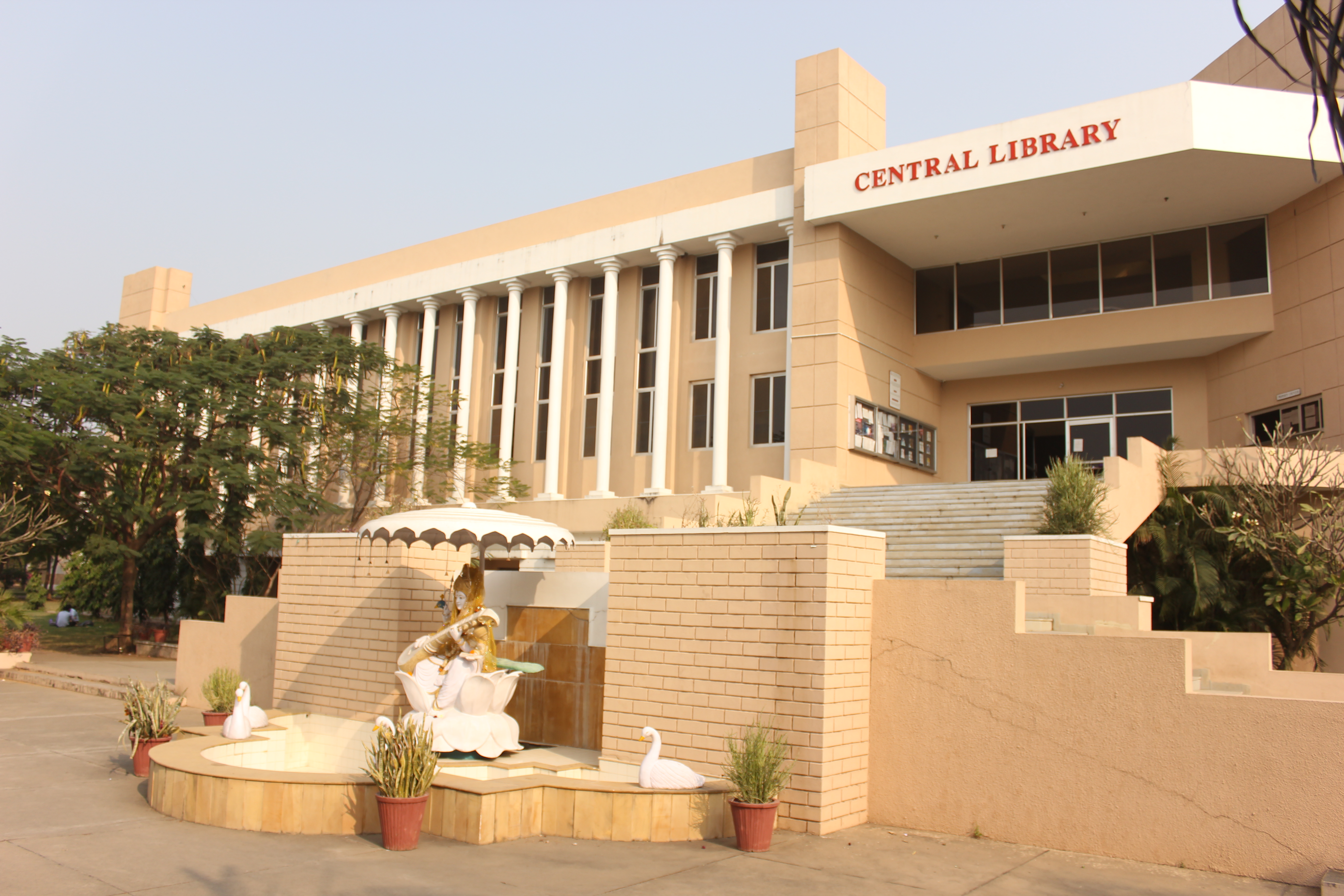 Medi-Caps University - library
