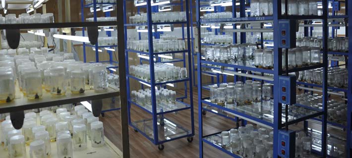 Navsari Agricultural University - labs