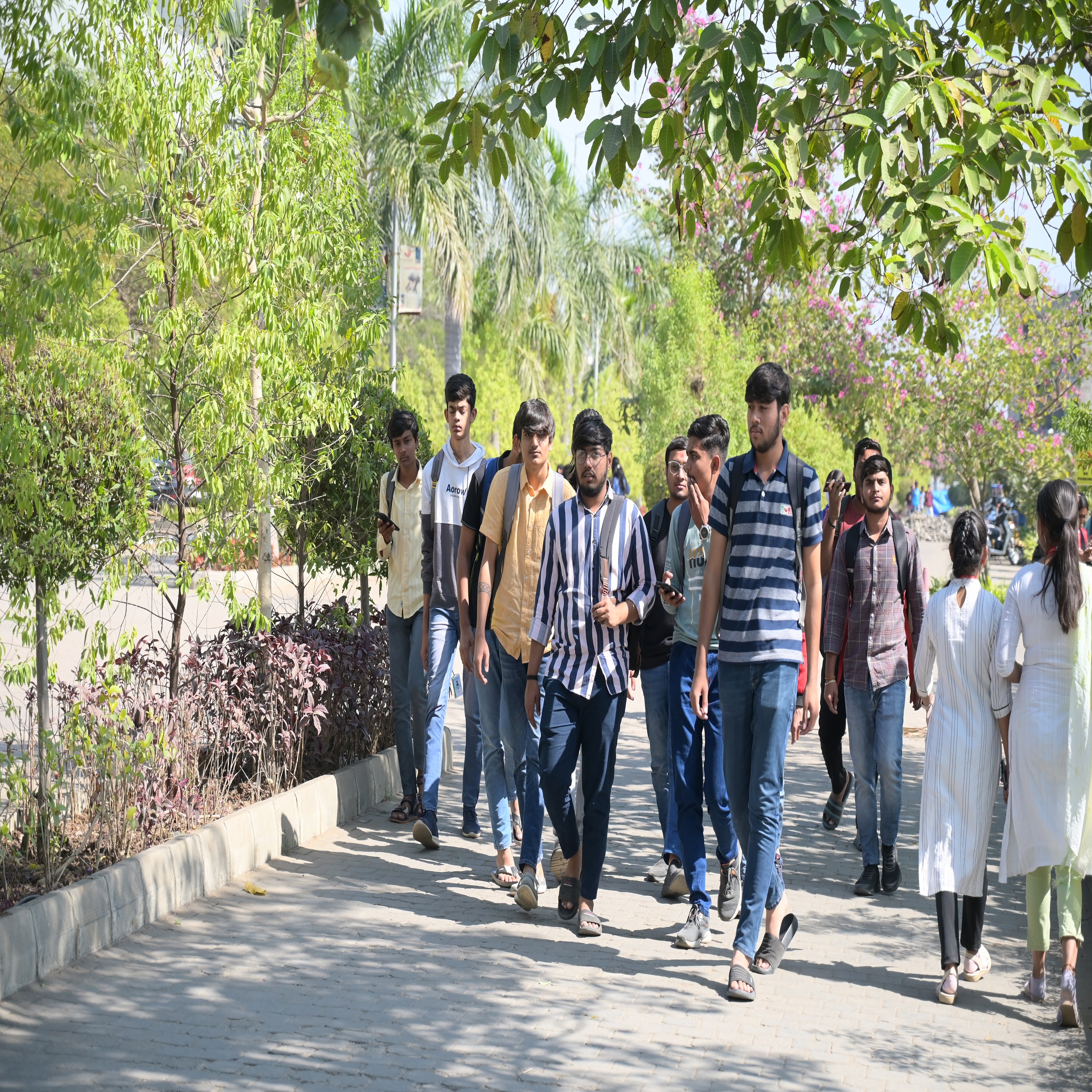 PP Savani University - others