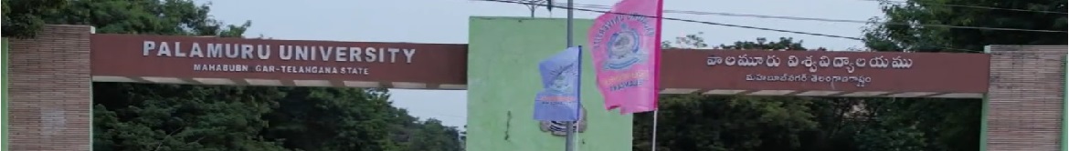 Palamuru University - others