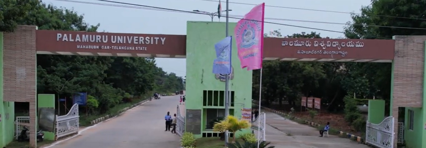 Palamuru University - entrance