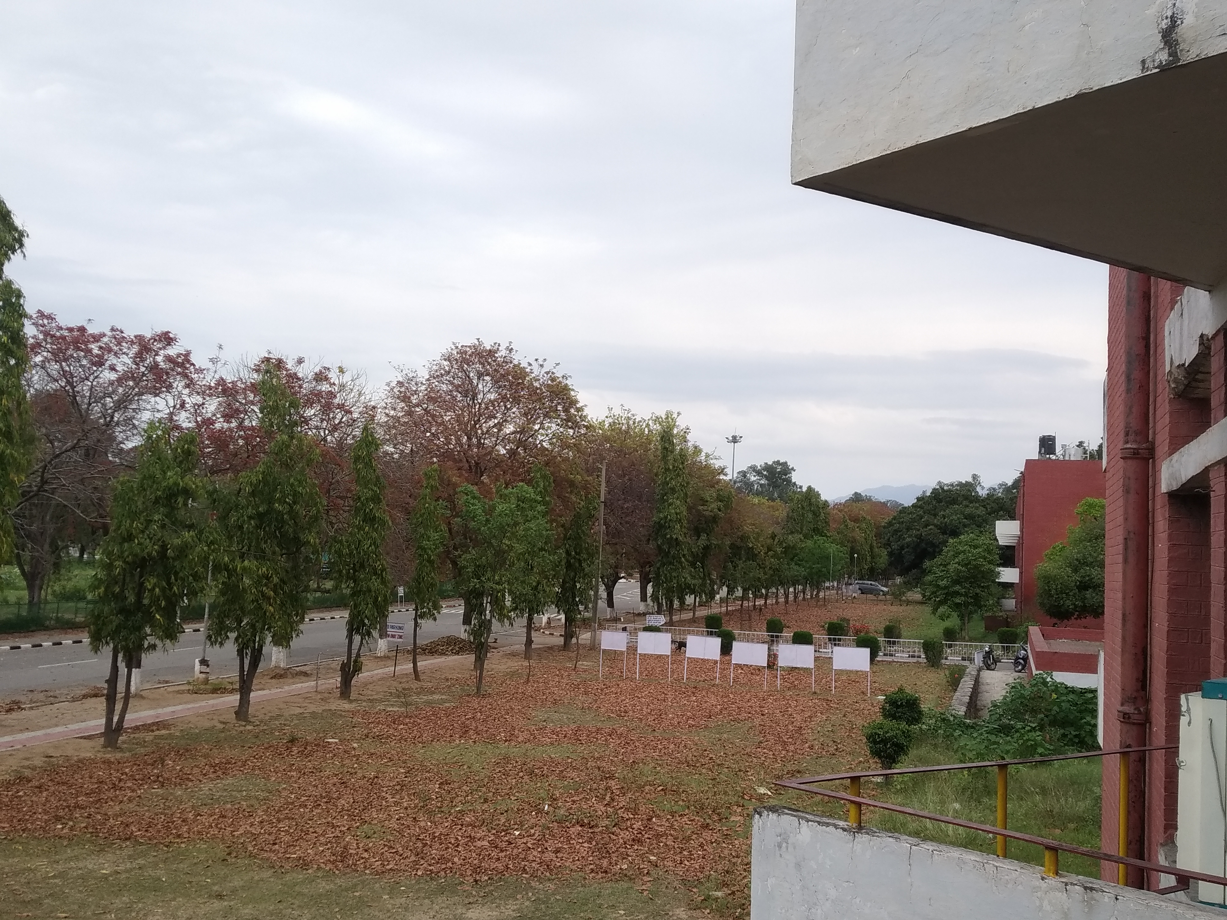 Panjab University (PU CHD) - campus
