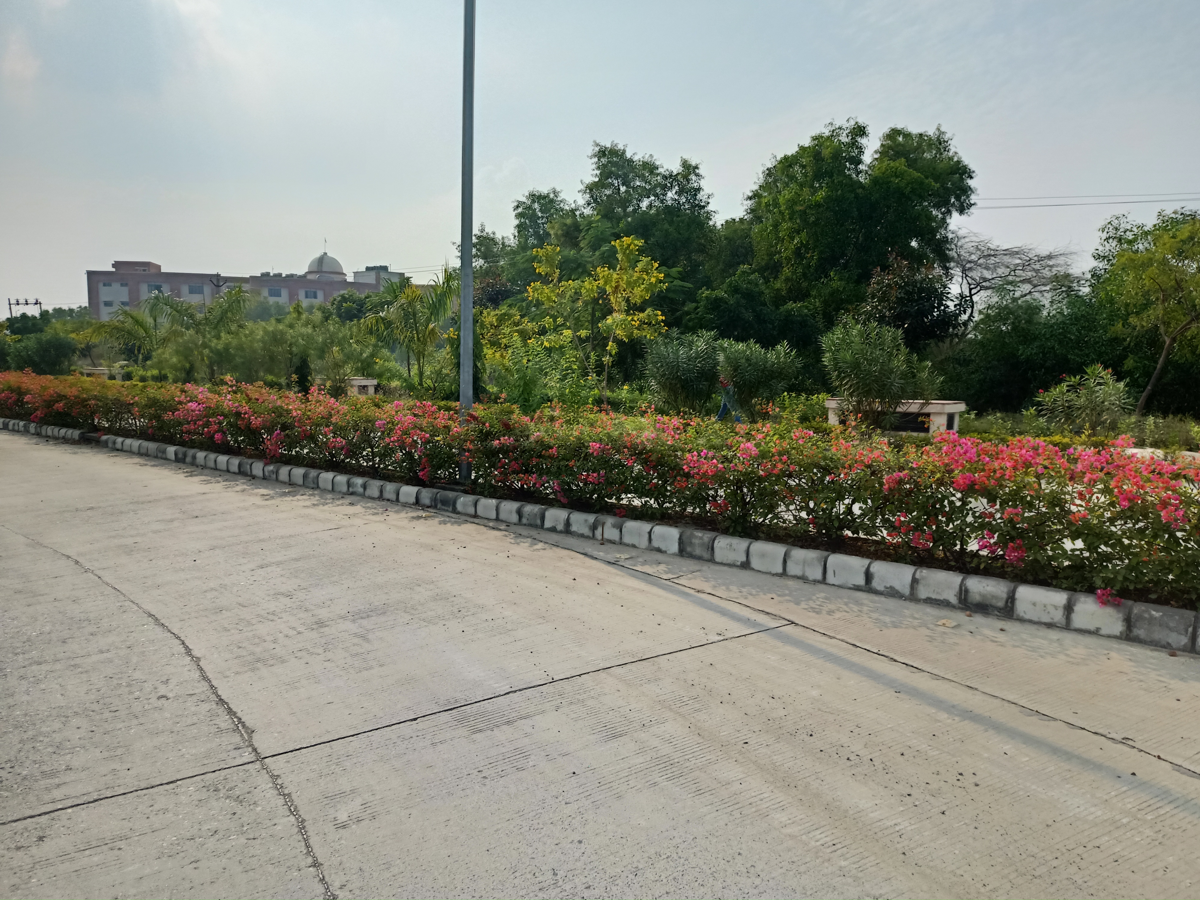 Patna University - campus