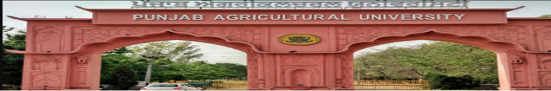 PAU Ludhiana - entrance