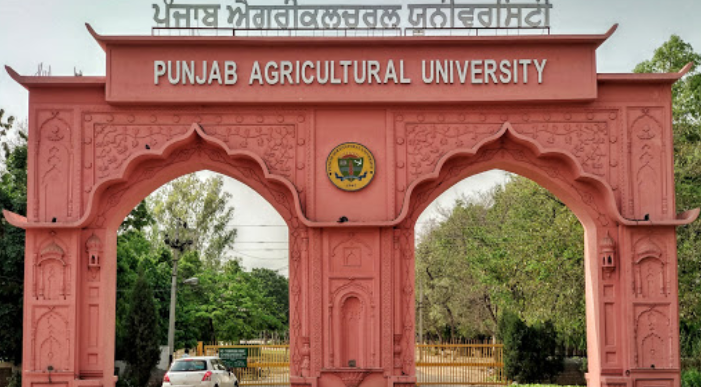 PAU Ludhiana - entrance