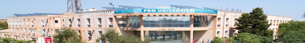 PDM University, Bahadurgarh - others