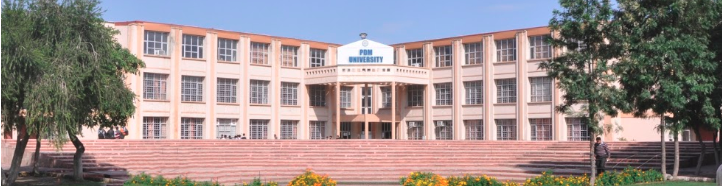 PDM University, Bahadurgarh - others