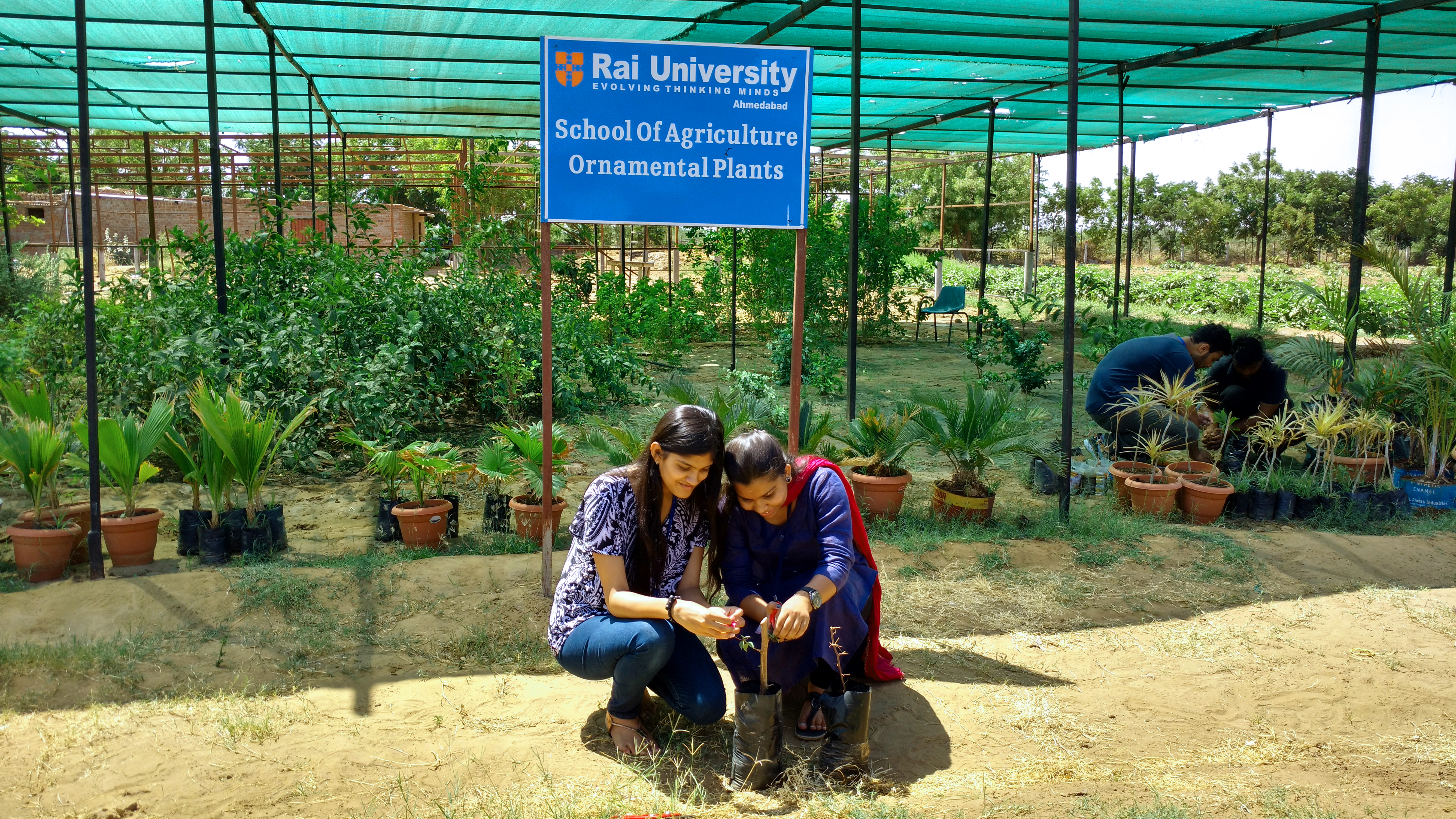 Rai University Ahmedabad - campus