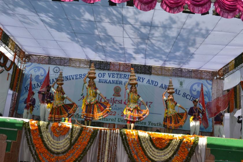 RAJUVAS, Bikaner - fest