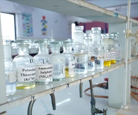 Renaissance University - labs