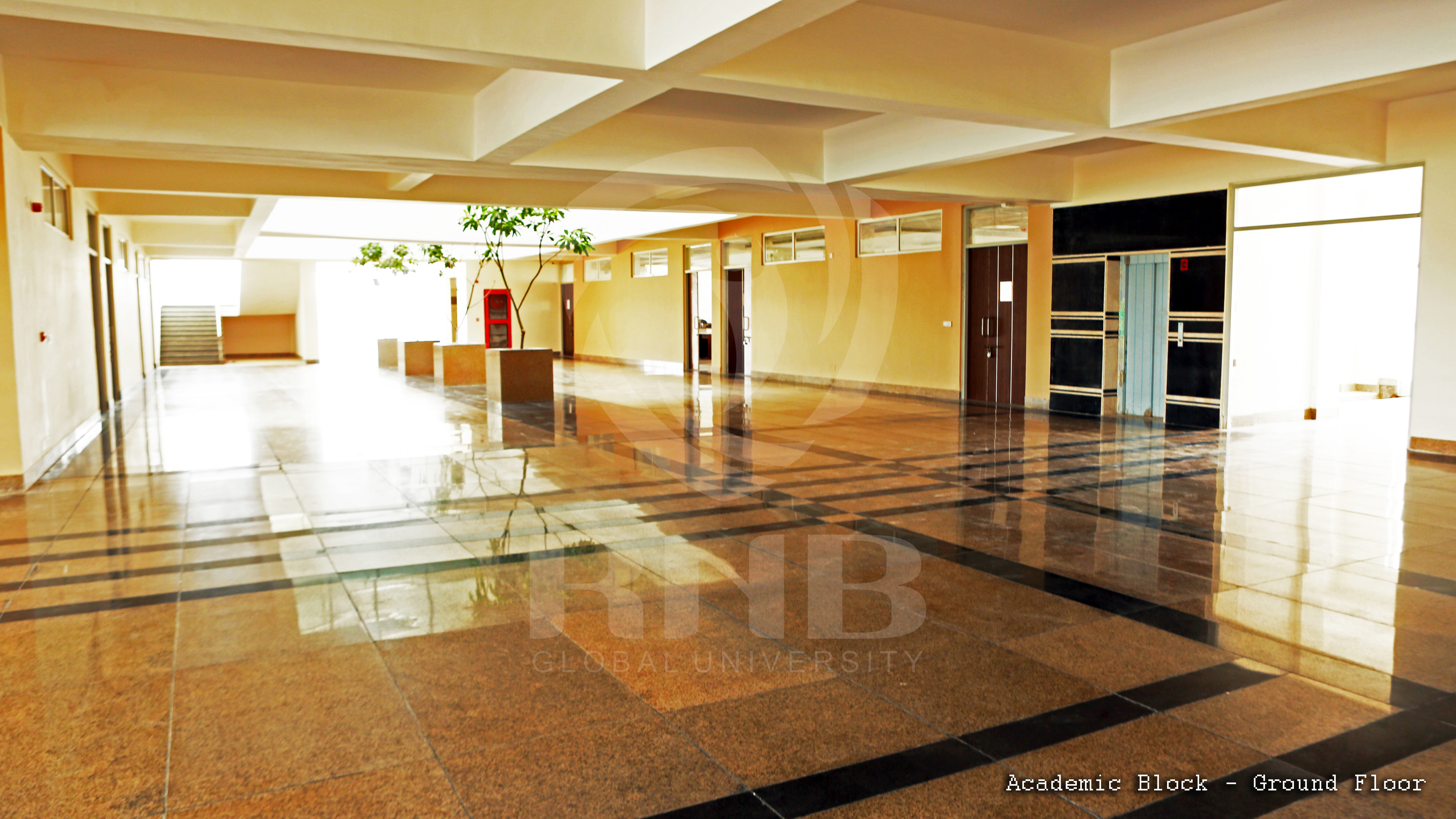 RNB Global University - academic