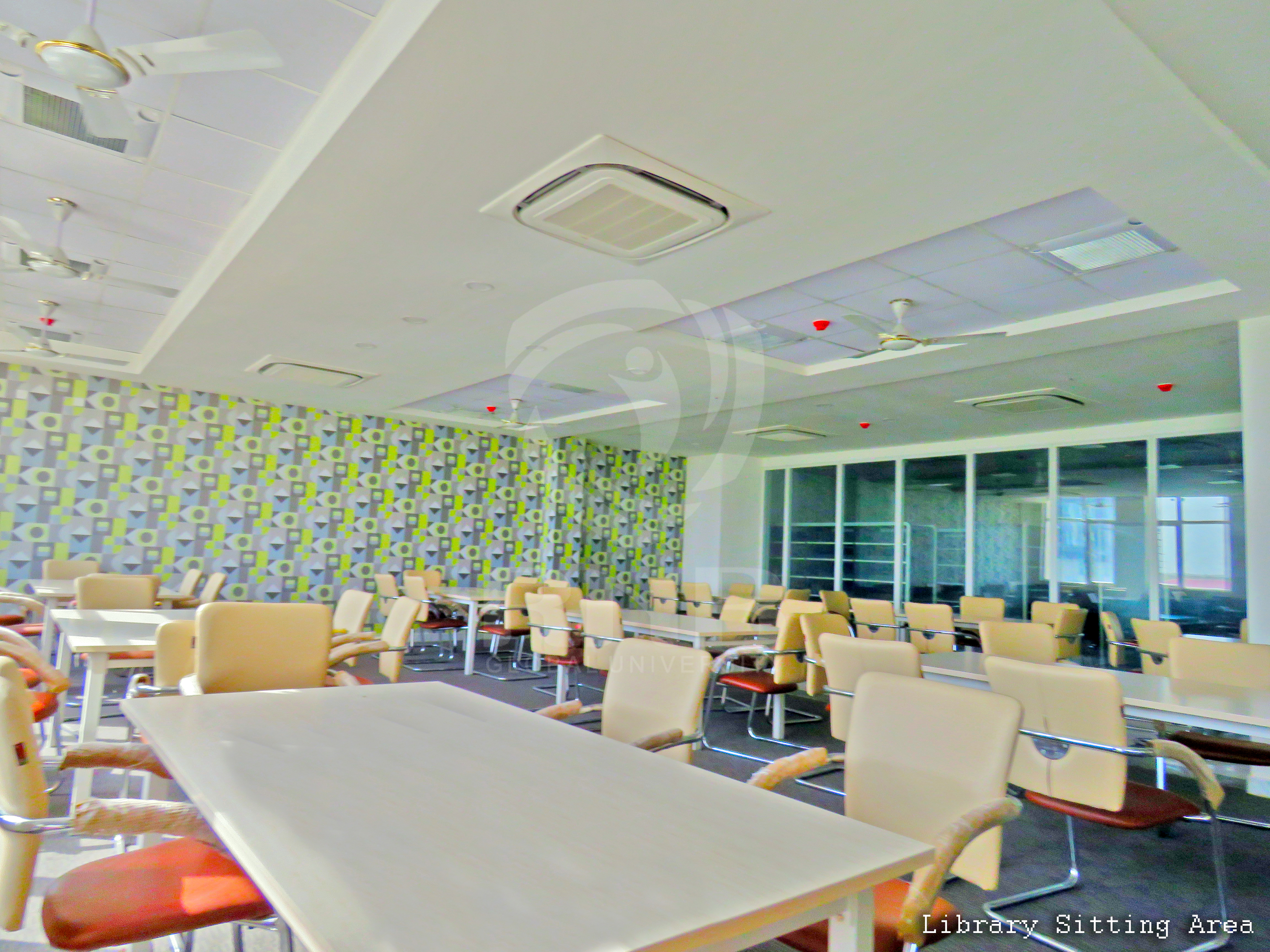 RNB Global University - library