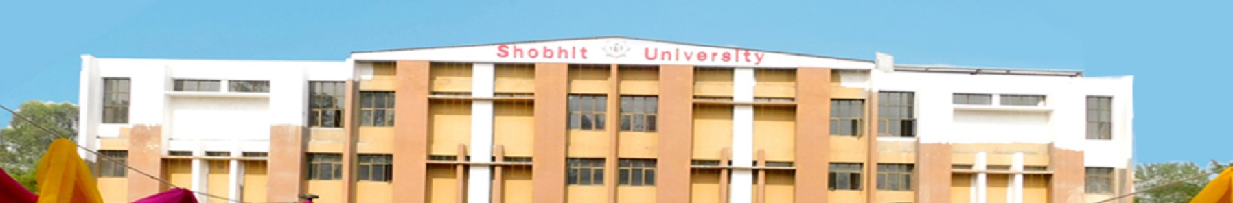 Shobhit Institute of Engineering and Technology - others